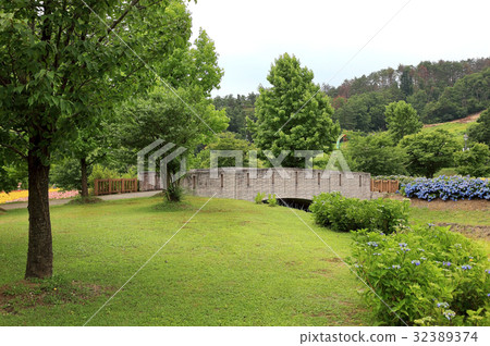 百合公園廣場 百合公園廣場 32389374
