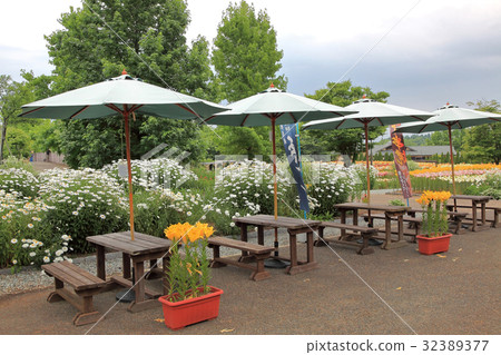 Lily Park Lily Park 32389377