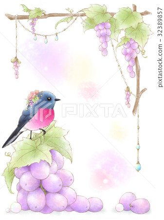 Grapes and pink robin 32389857