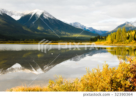 Canadian Rockies Autumn Morning Vermillion Lake and Mountains 32390364