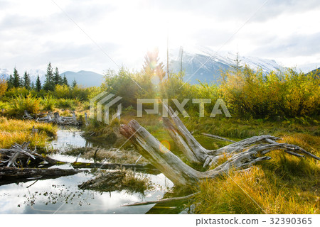 Canadian Rockies Autumn Morning Vermillion Lake and Randle Mountain 32390365