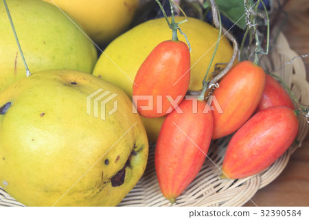 卡琳和卡拉蘇里 卡琳和卡拉蘇里 32390584