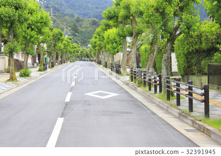 高檔住宅區的街道樹 高檔住宅區的街道樹 32391945