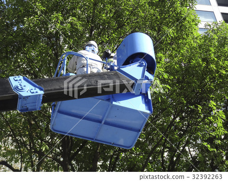 Urban street tree pruning 32392263