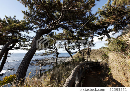 Arasaki Coast 32395351