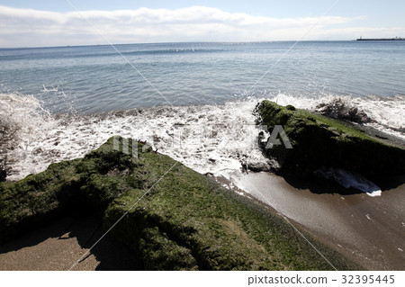 一個海灘 32395445