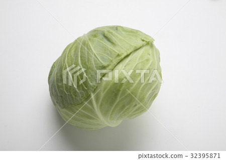 cabbage cabbage 32395871