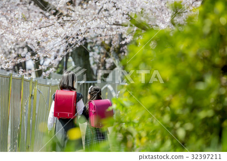 Cherry blossoms and elementary school sisters behind Cherry blossoms and elementary school sisters behind 32397211