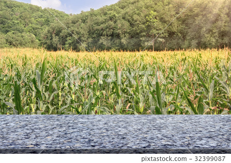 Marble table with corn farm with blue sky Marble table with corn farm with blue sky 32399087