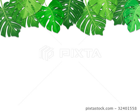 Tropical leaf botanical frame (transparent) Tropical leaf botanical frame (transparent) 32401558