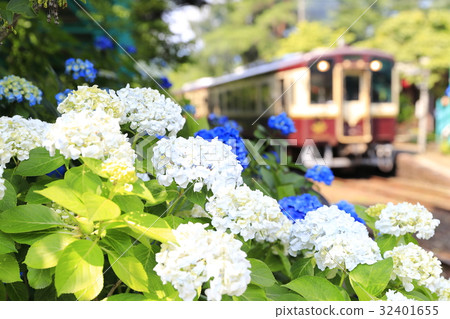 Watase山溝初夏鐵路 32401655