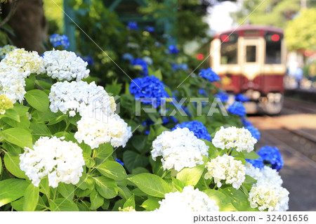 Watase ravine early summer railway Watase ravine early summer railway 32401656