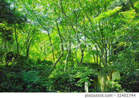 京都Kitazaga新的綠色風景 32401744