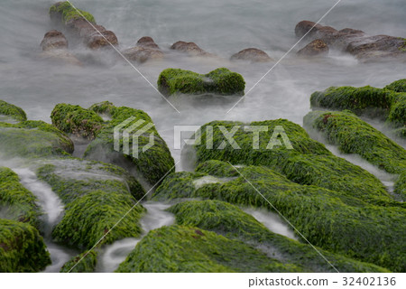 台灣 風景 老梅綠石槽 老梅石槽 海 心 浪 浪花 情人節 海藻 千年冰心 岩石 植物 綠 戀愛 台灣 風景 老梅綠石槽 老梅石槽 海 心 浪 浪花 情人節 海藻 千年冰心 岩石 植物 綠 戀愛 32402136