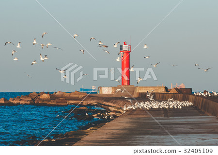 Seagulls against lighthouse 32405109