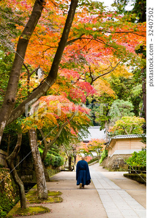 Kamakura Enka Temple Autumn leaves Kamakura Enka Temple Autumn leaves 32407502