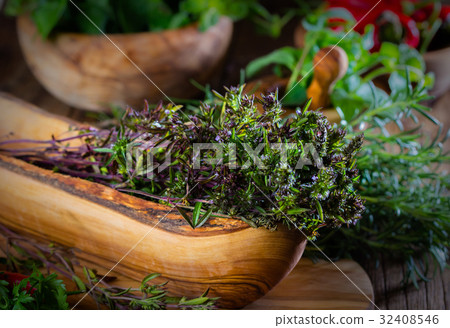 Fresh thyme 32408546