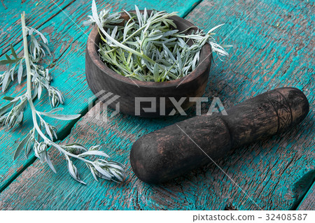 Branch of medicinal wormwood 32408587