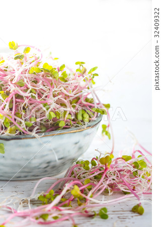 Microgreen. Sprouts of radish in gray bowl 32409322