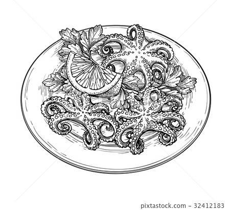 Octopus Ink Sketch. - Stock Illustration [32412183] - PIXTA