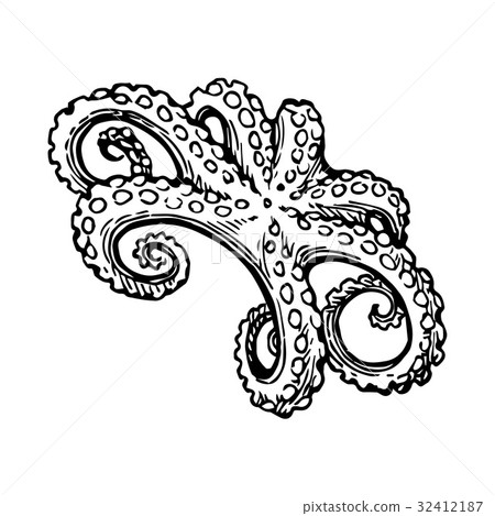 Octopus ink sketch. 32412187