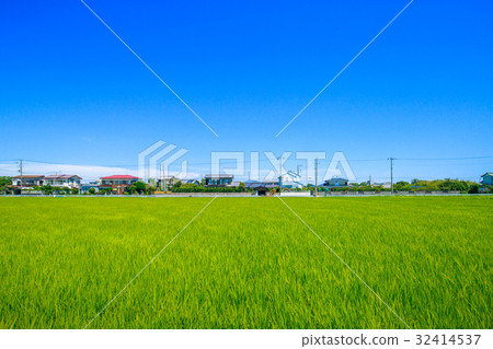 Rain scenery in fine weather in Ichinomiya-cho, Chiba prefecture 32414537