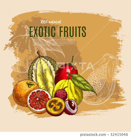 Vector exotic durian, mango, papaya fruits poster Vector exotic durian, mango, papaya fruits poster 32415048