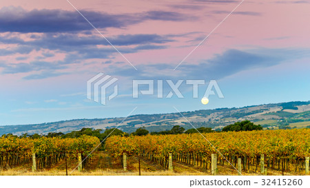 McLaren Vale winery moon rise 32415260