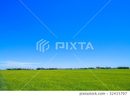 Satoyama landscape in the vicinity of Toami Ichinomiya 32415707