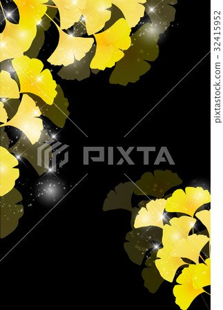 Ginkgo autumn leaves autumn background Ginkgo autumn leaves autumn background 32415952