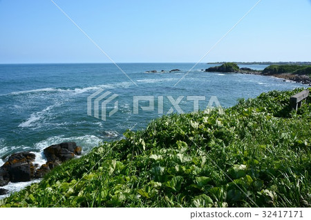 Narita-sho Cape Hokkaido Higashi Narita-sho Cape Hokkaido Higashi 32417171