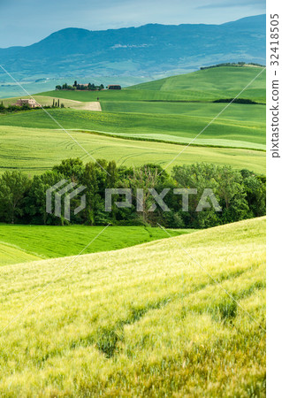 Spring landscape of fields Tuscany 32418505
