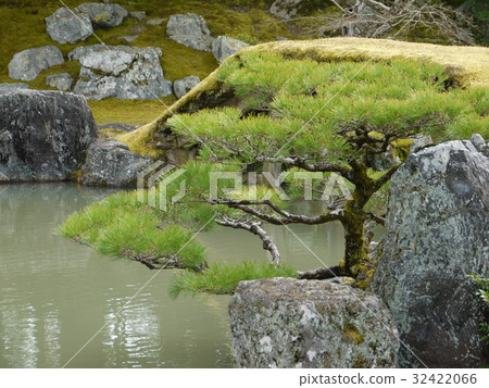 Daigoji Temple三和花園 32422066