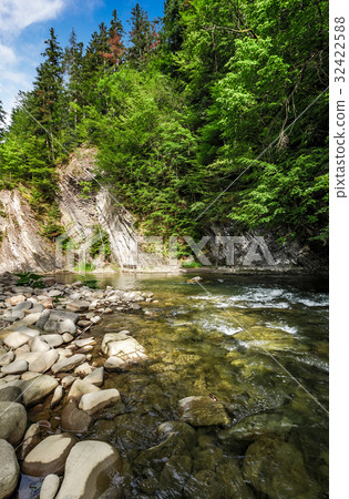 rapid flow of the river in forest 32422588