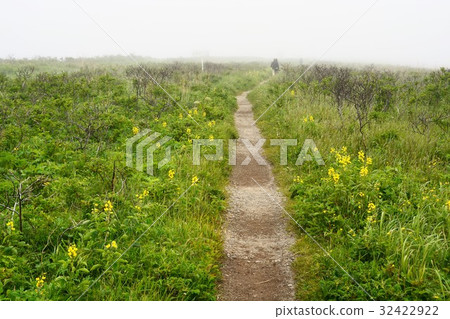 Noshimi Peninsula Hokkaido 32422922