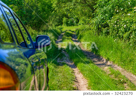 Blue car in forest 32423270
