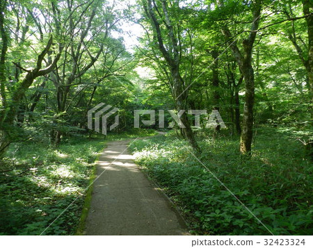 Summer's North Obooyama 32423324