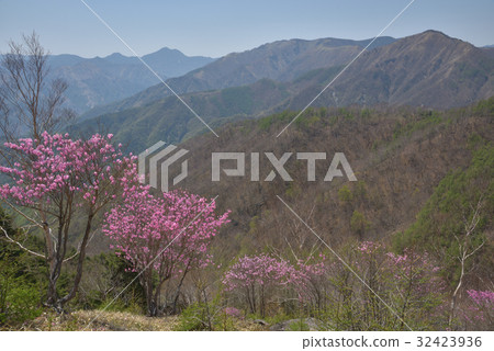 Hanbetsu Mountainside的Acaciao和Ashio山 32423936