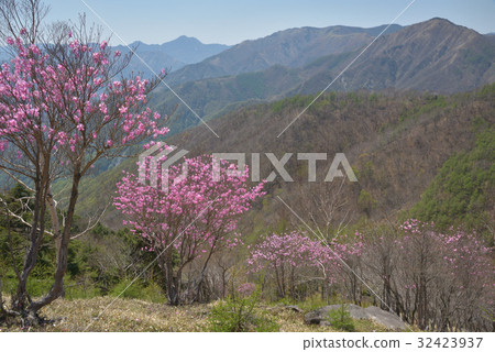 Hanbetsu Mountainside的Acaciao和Ashio山 32423937