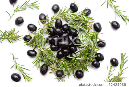 Dark olives and rosemary plant Dark olives and rosemary plant 32423986
