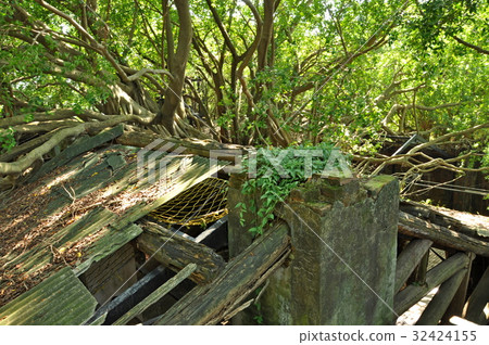 安平樹店 安平樹店 32424155