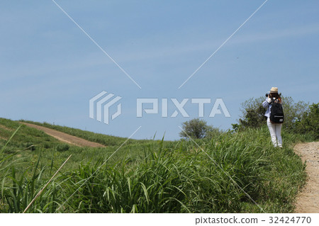 Katsuragiyama峰會和山地女孩 Katsuragiyama峰會和山地女孩 32424770