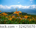 Sixty Stone Mountain Golden Flower 32425070