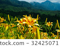 Hualien Yuli Golden Needle 32425071
