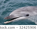 Tsukumi dolphin island (Tsukumi city, Oita prefecture) 32425906