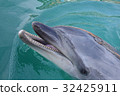 Tsukumi dolphin island (Tsukumi city, Oita prefecture) 32425911
