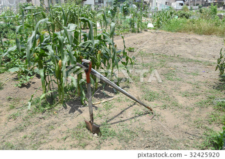 Citizen farm 32425920