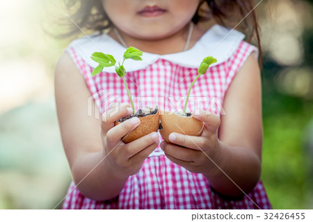 Child hand holding young tree in egg shell Child hand holding young tree in egg shell 32426455
