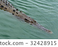 Crocodiles at Crocodile Farm in Thailand. 32428915