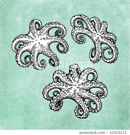 Octopus set on old paper Octopus set on old paper 32429211